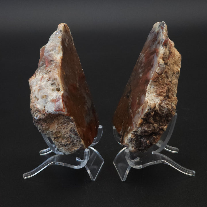 15 oz Polished Pair Jurassic Dinosaur Coprolite | Henry Mountain, Utah