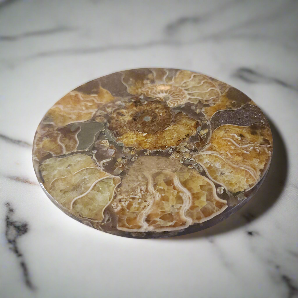 4.5" Agatized Ammonite Fossil – Elegant Natural Drink Coaster Home Decor from Madagascar