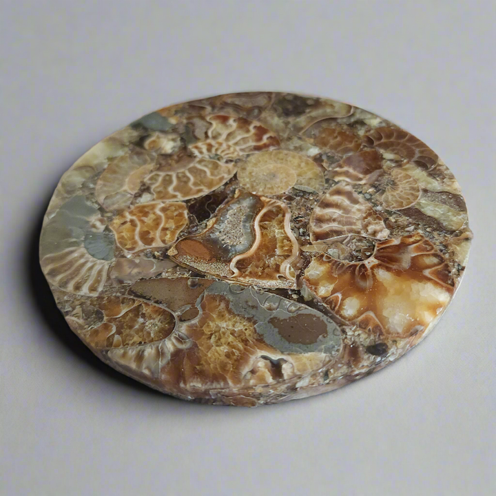 4.5" Agatized Ammonite Fossil – Elegant Natural Drink Coaster Home Decor from Madagascar