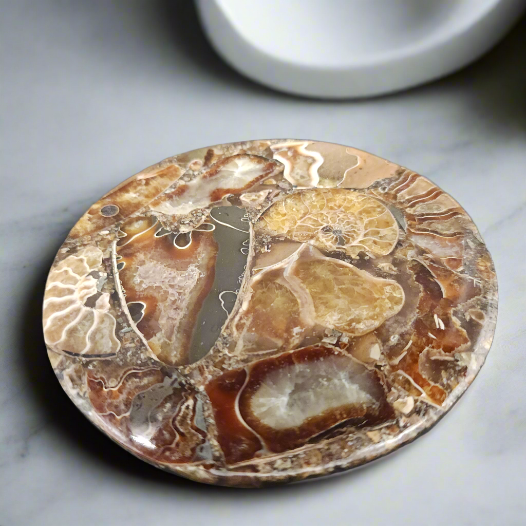 4.5" Agatized Ammonite Fossil – Elegant Natural Drink Coaster Home Decor from Madagascar