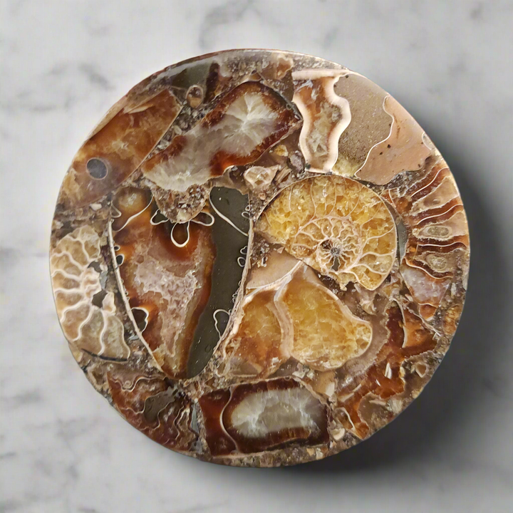 4.5" Agatized Ammonite Fossil – Elegant Natural Drink Coaster Home Decor from Madagascar