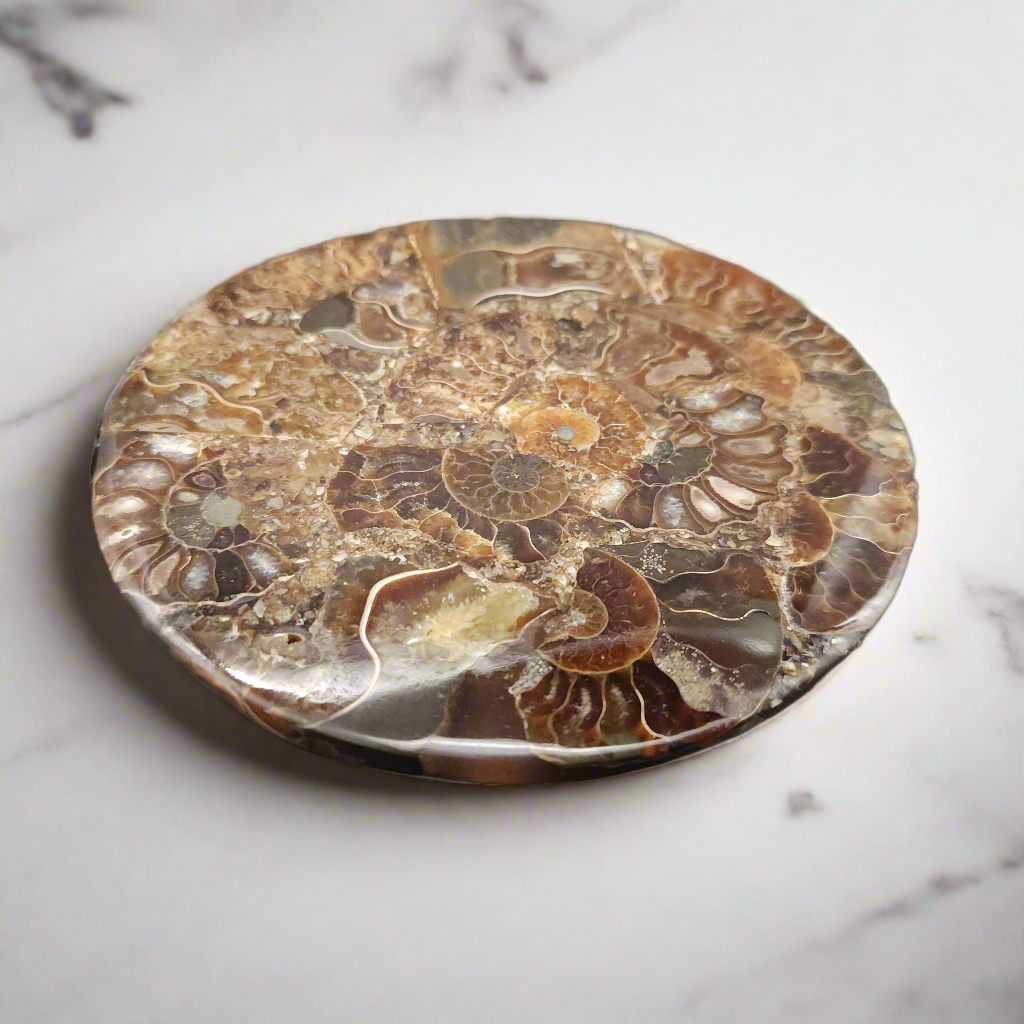 4.5" Agatized Ammonite Fossil – Elegant Natural Drink Coaster Home Decor from Madagascar