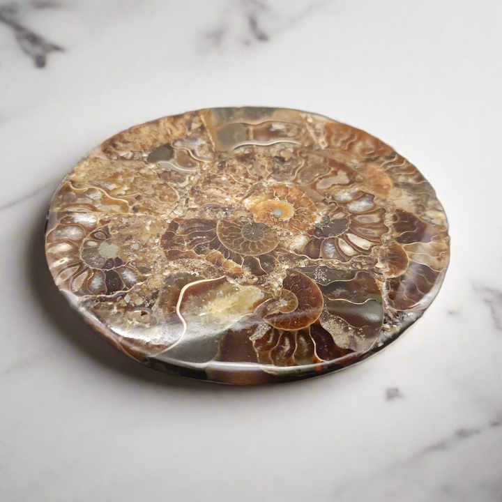 4.5" Agatized Ammonite Fossil – Elegant Natural Drink Coaster Home Decor from Madagascar