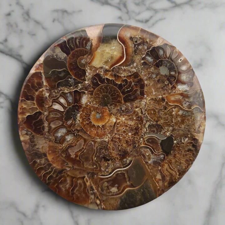 4.5" Agatized Ammonite Fossil – Elegant Natural Drink Coaster Home Decor from Madagascar